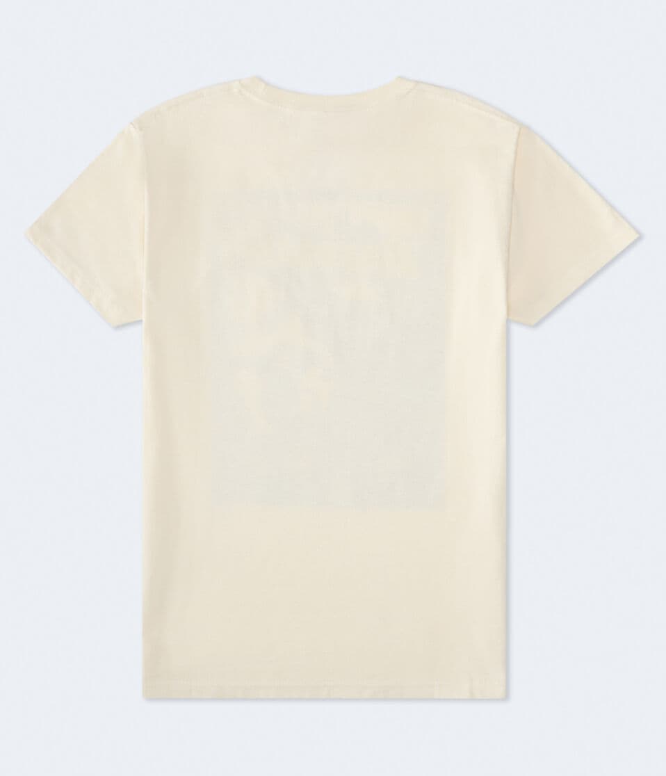 Batman & Nightwing Relaxed Graphic Tee