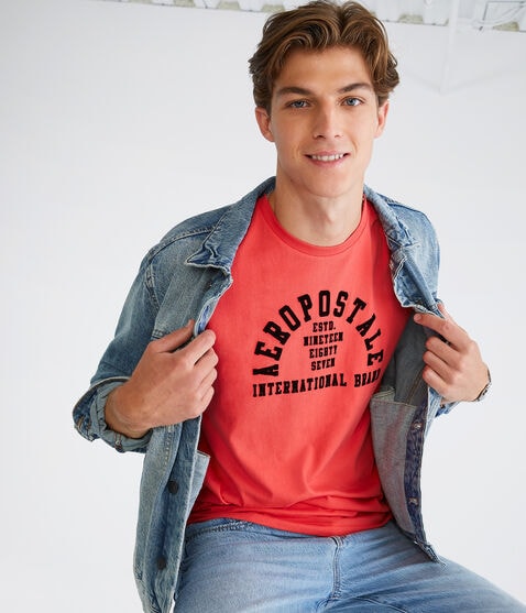 Aeropostale International Arch Graphic Tee Aeropostale International Arch Graphic Tee