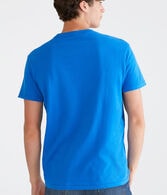 Aeropostale Arch Flocked Graphic Tee