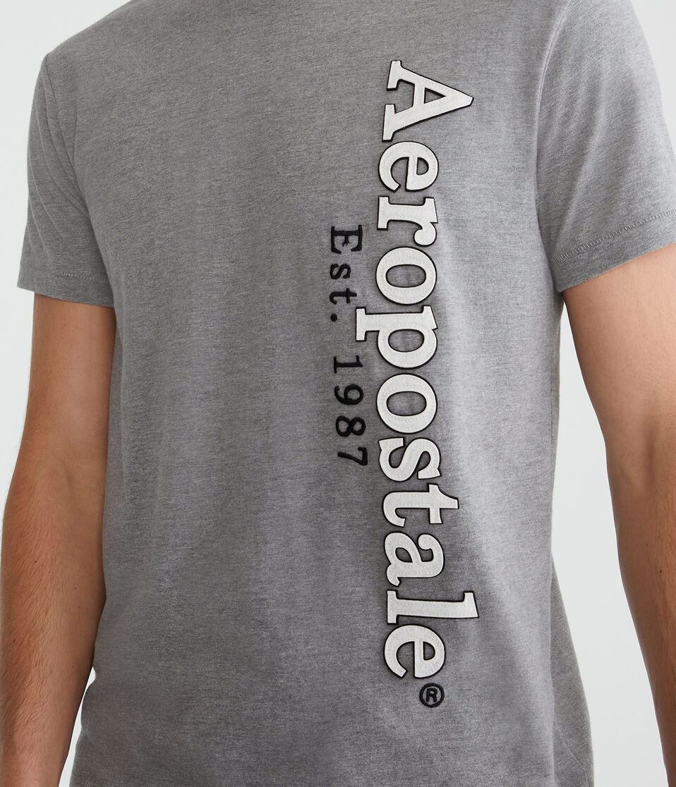 Aeropostale Vertical Appliqué Graphic Tee