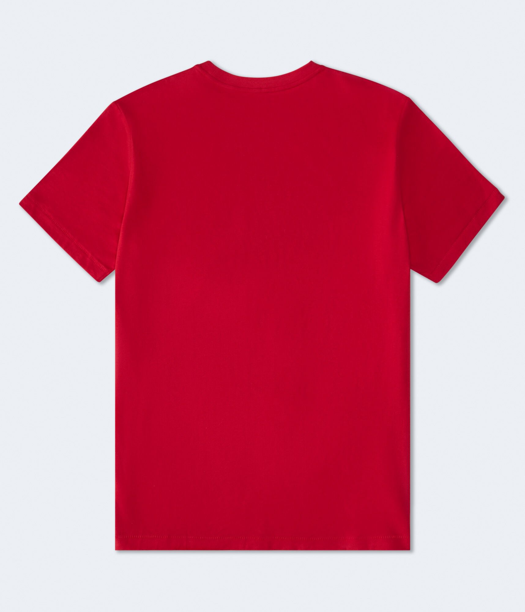 Aeropostale Liberty Flocked Graphic Tee