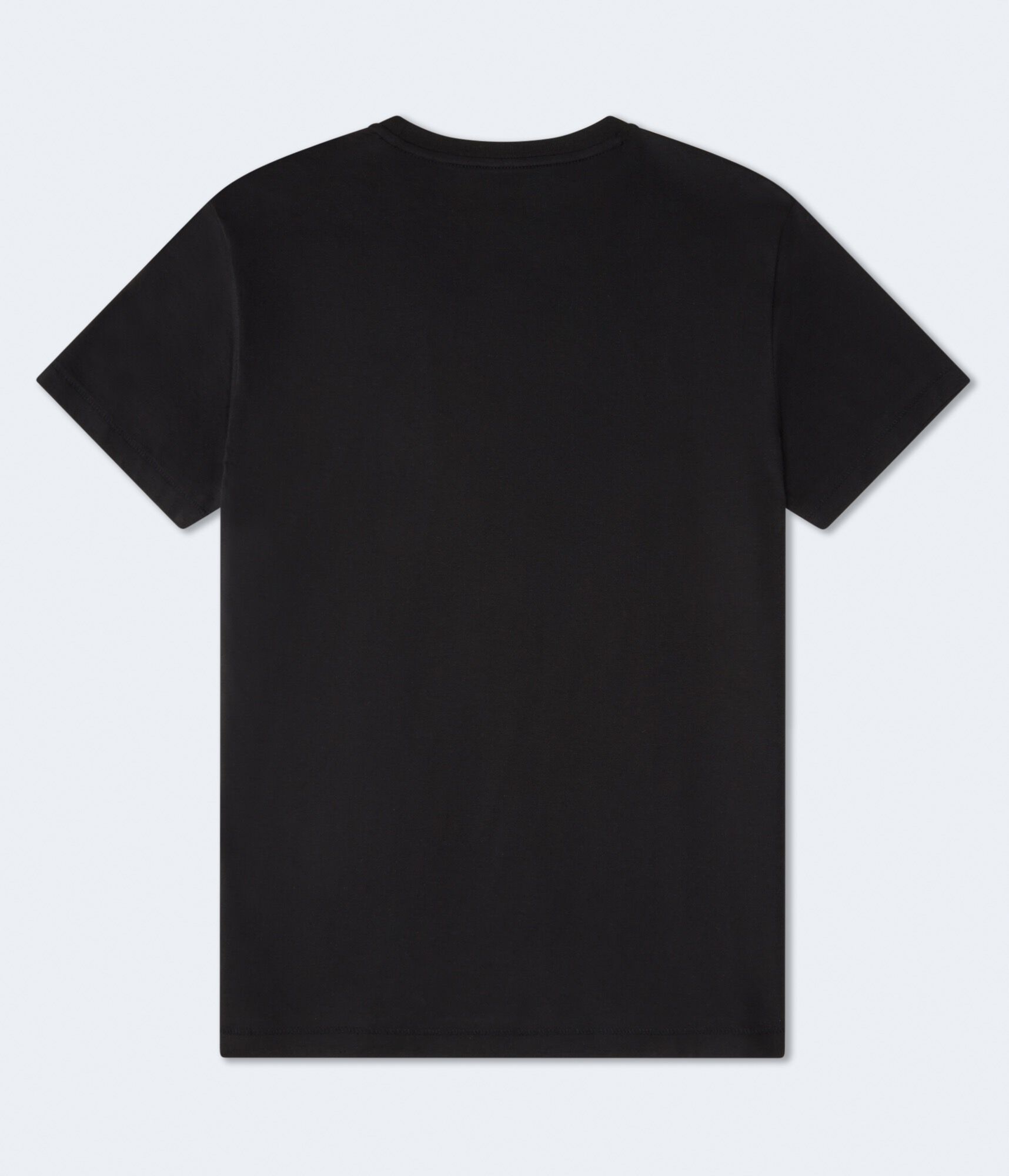 Aero Laurel Logo Graphic Tee