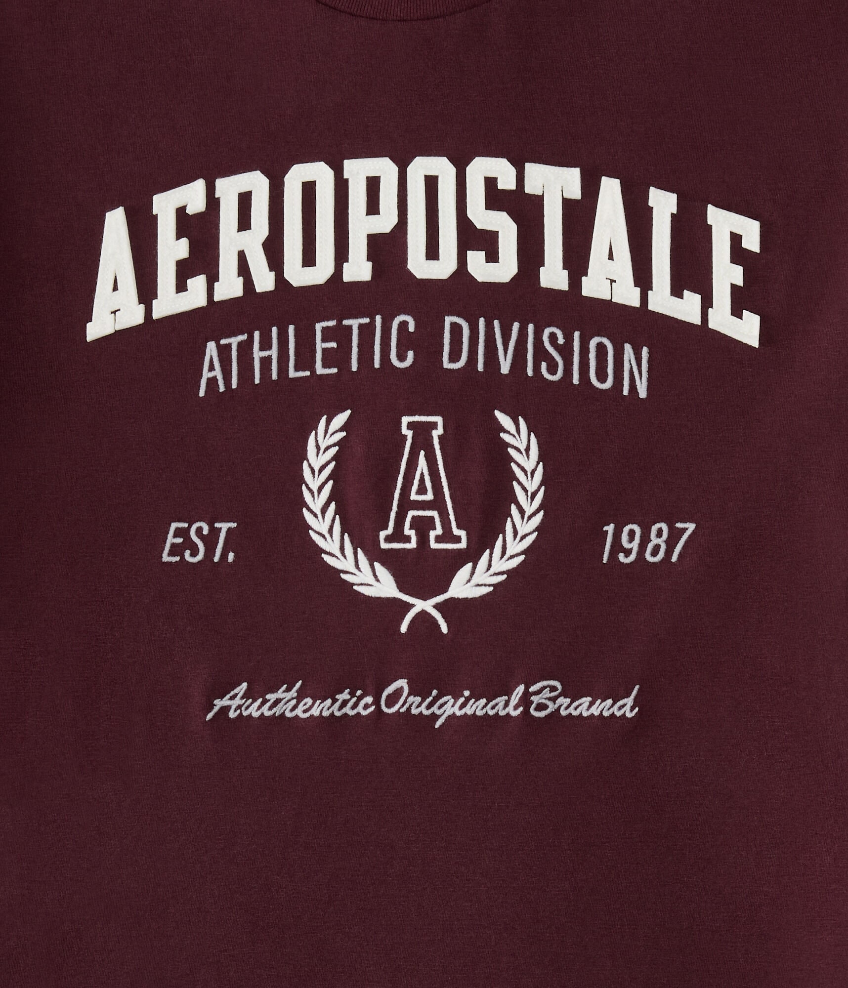 Aeropostale Athletic Division Appliqué Graphic Tee