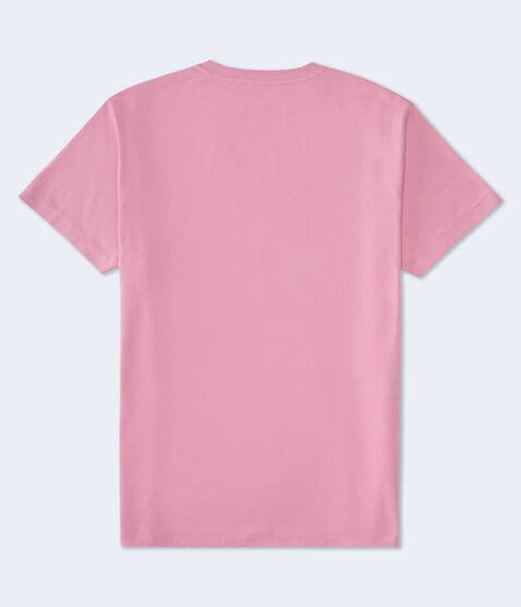 Aeropostale Laurel Circle Flocked Graphic Tee Aeropostale Laurel Circle Flocked Graphic Tee