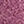 RED PLUM