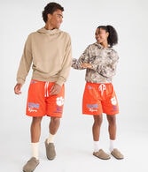 Clemson Mesh Shorts