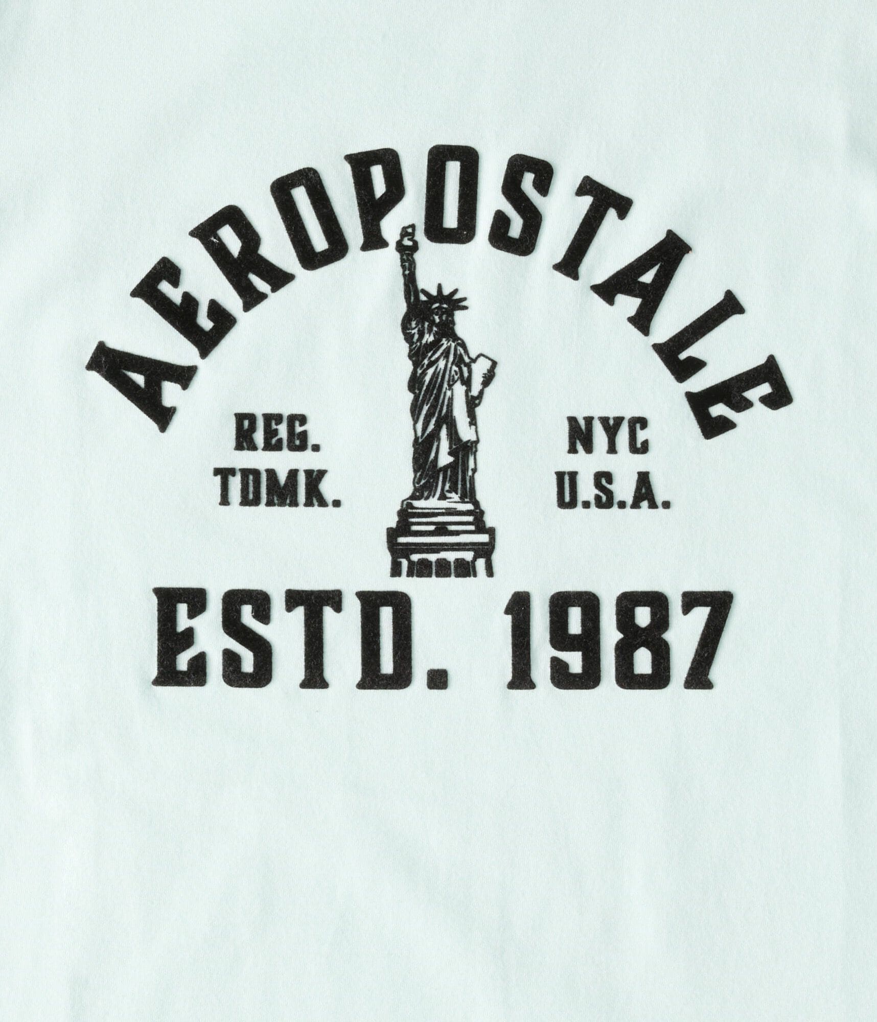 Aeropostale Liberty Flocked Graphic Tee