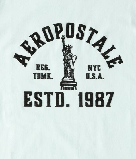 Aeropostale Liberty Flocked Graphic Tee Aeropostale Liberty Flocked Graphic Tee