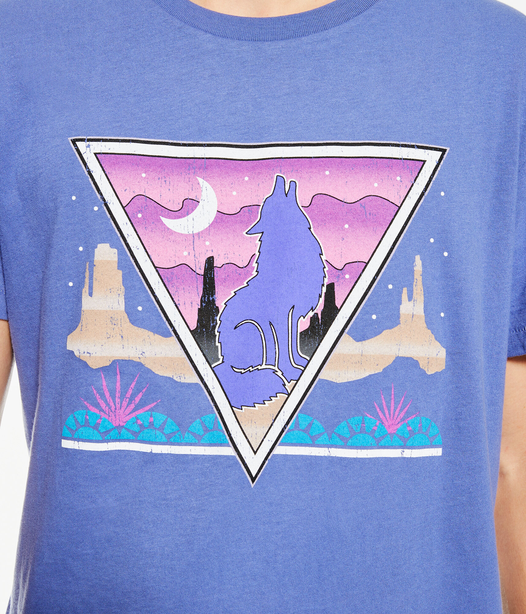 Wolf Desert Graphic Tee