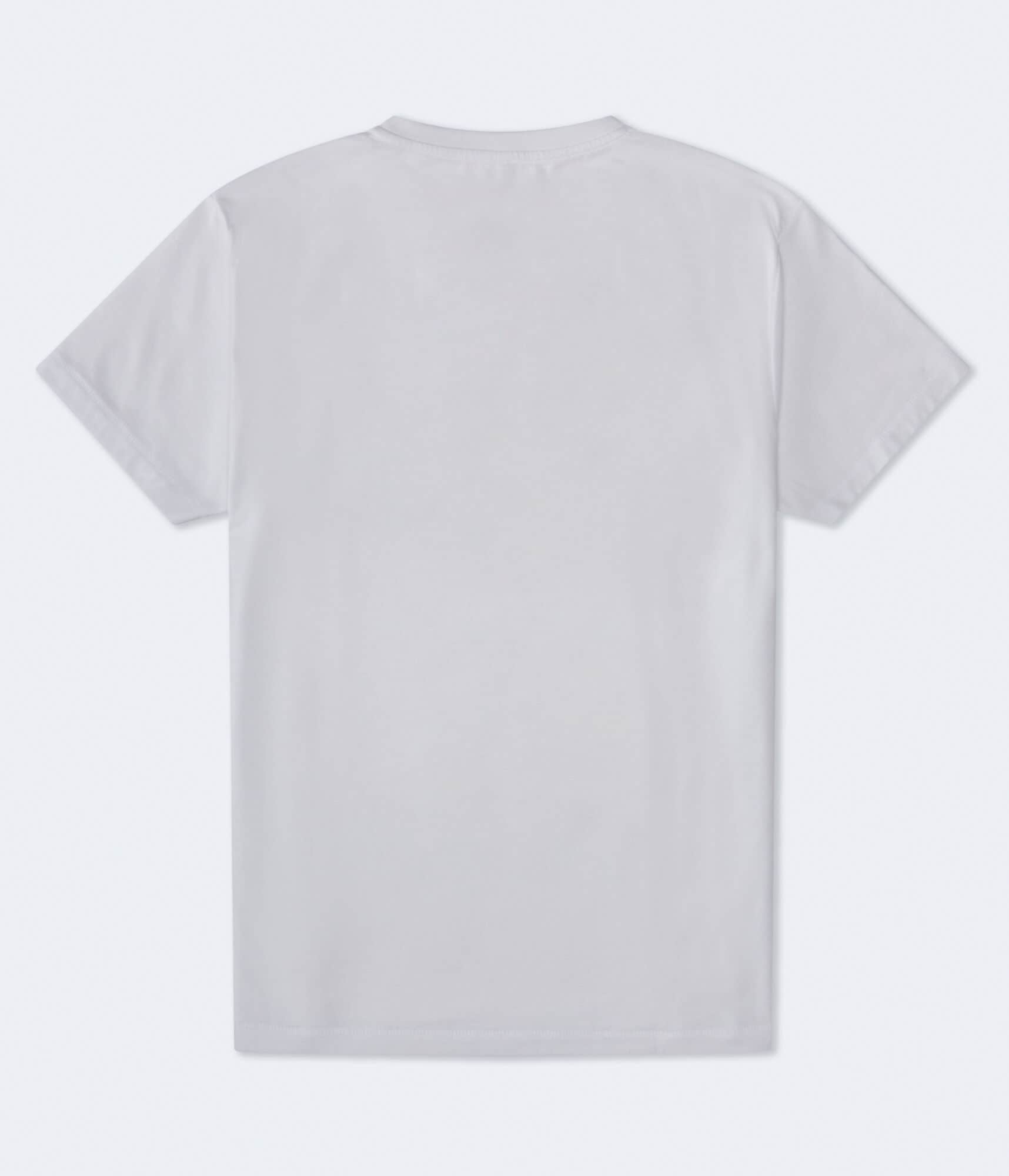 Aeropostale Central Park Graphic Tee