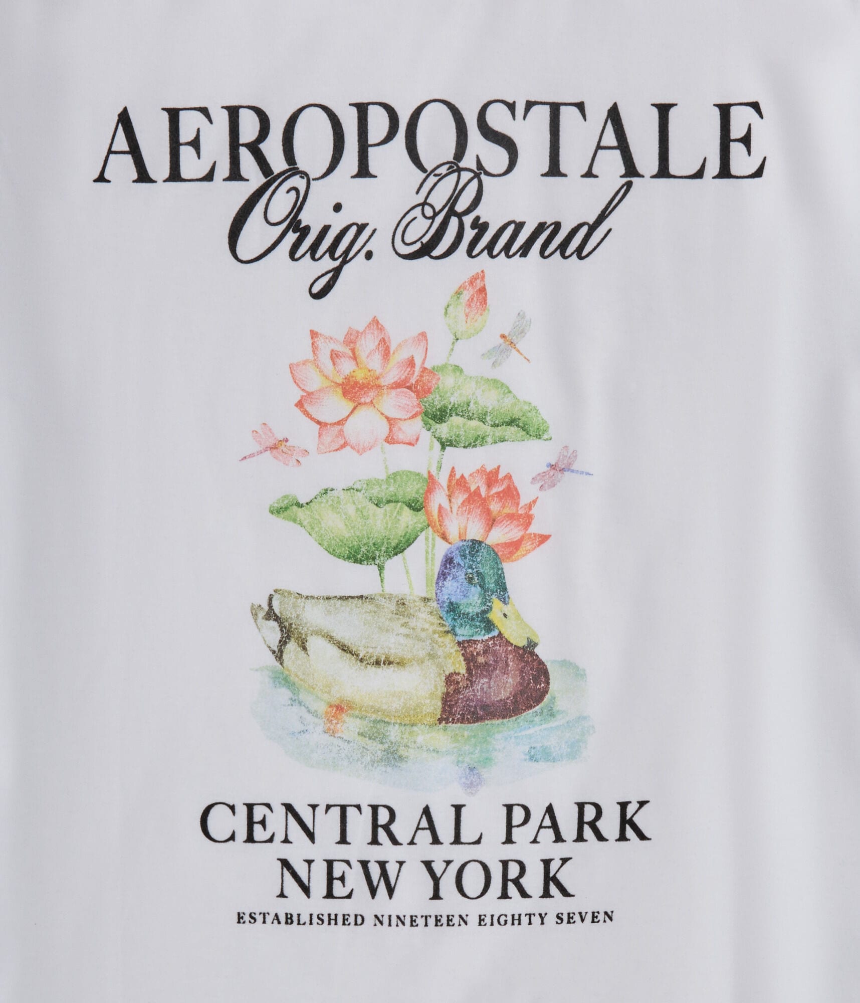 Aeropostale Central Park Graphic Tee