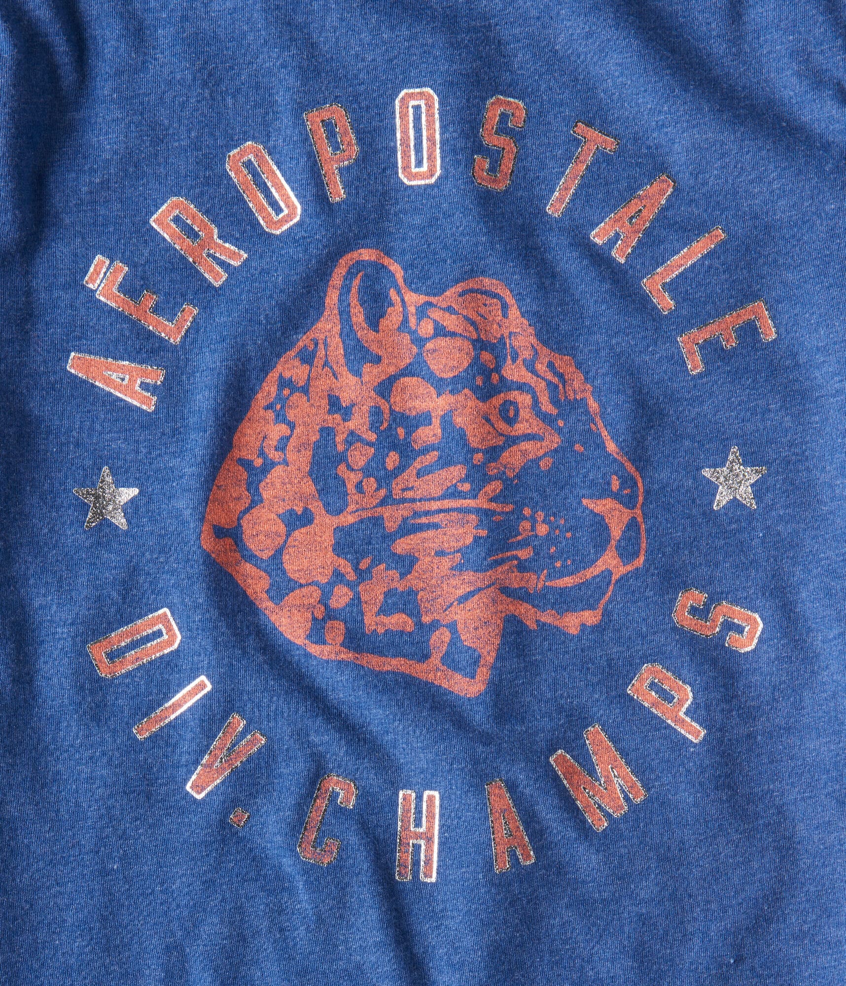 Aero Lion Graphic Tee