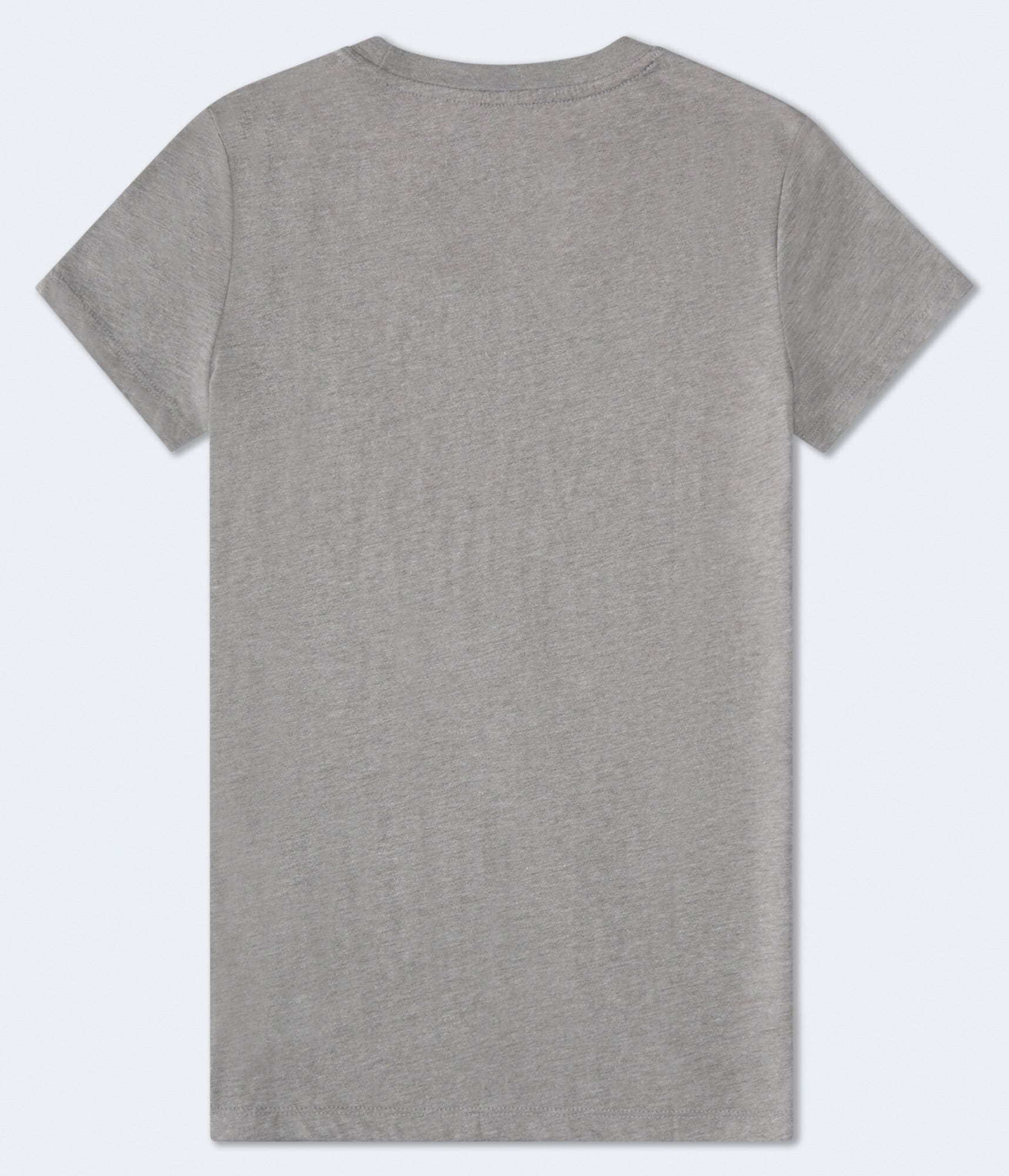 Aeropostale Rose Flocked Graphic Tee
