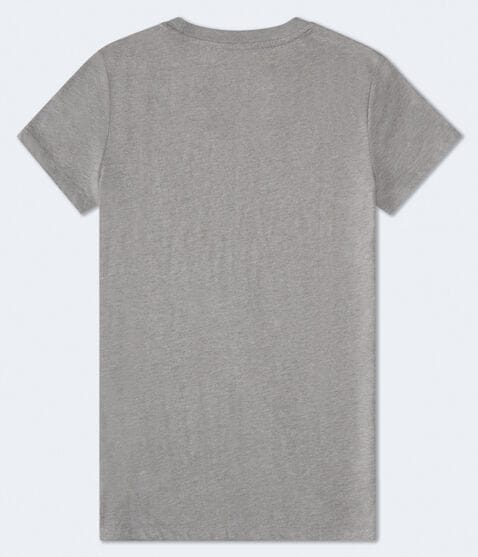 Aeropostale Rose Flocked Graphic Tee Aeropostale Rose Flocked Graphic Tee