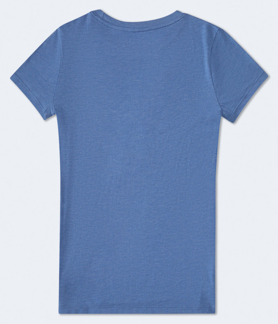 Aero Flower Row Appliqué Graphic Tee