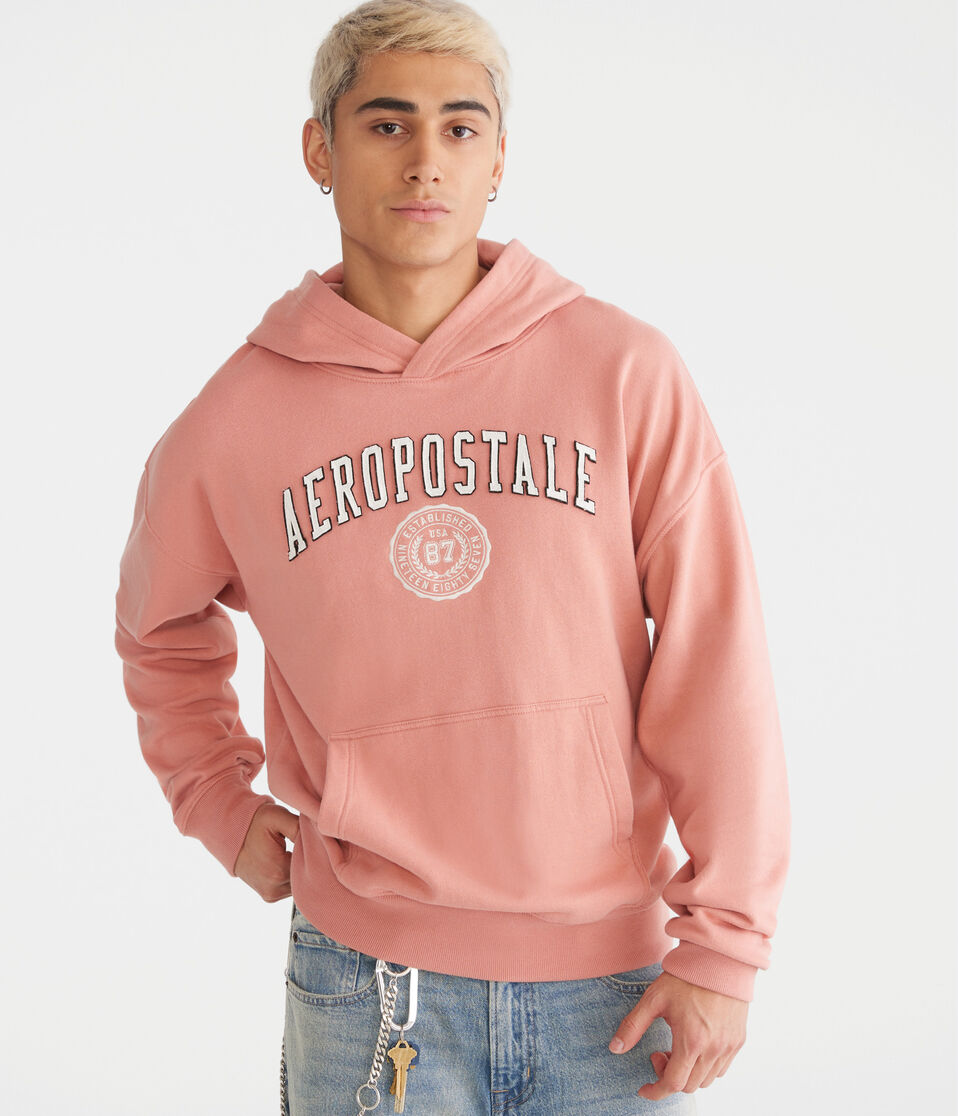 Aeropostale Crest Logo Pullover Hoodie