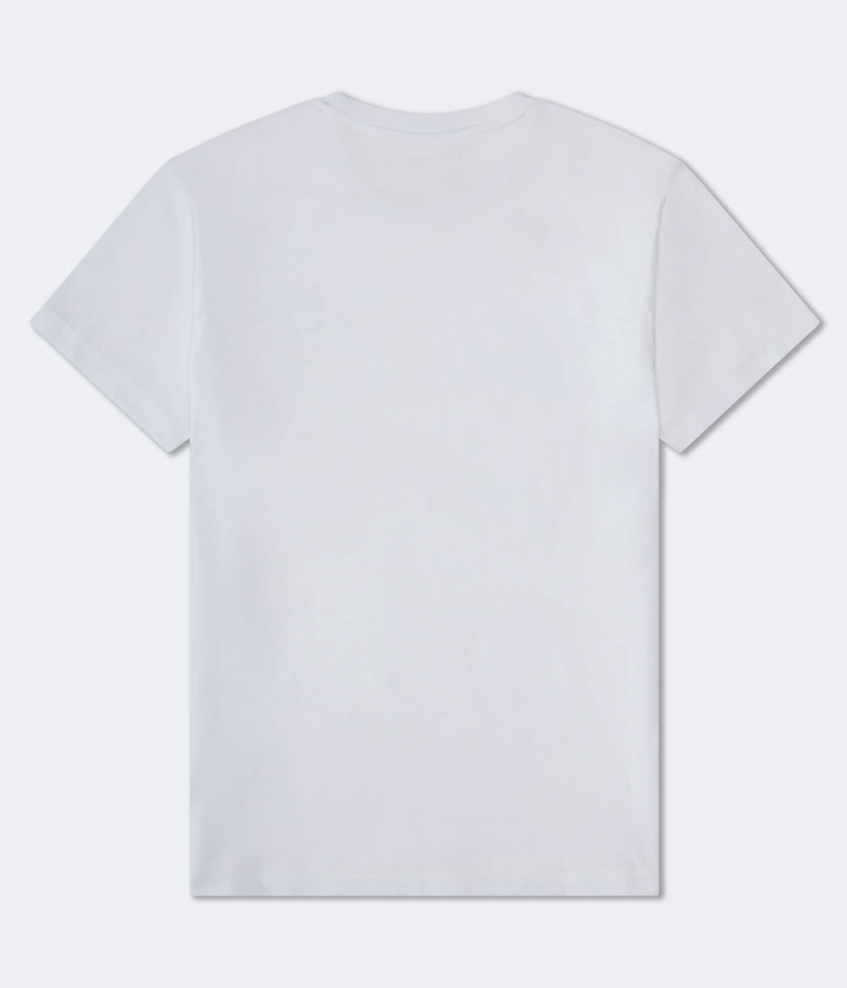 Aeropostale Authentic Logo Flocked Graphic Tee