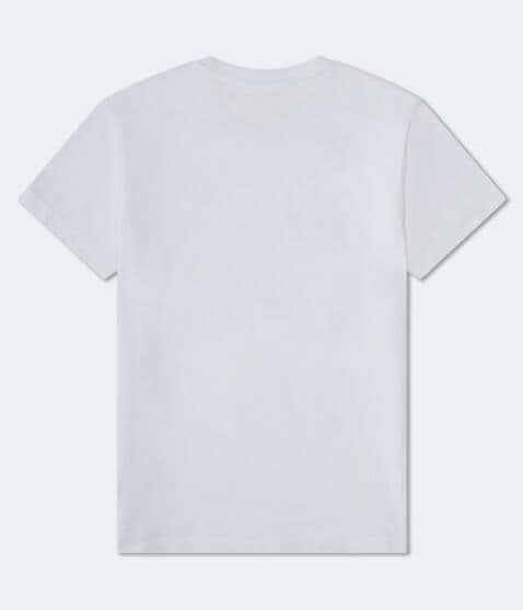 Aeropostale Authentic Logo Flocked Graphic Tee Aeropostale Authentic Logo Flocked Graphic Tee