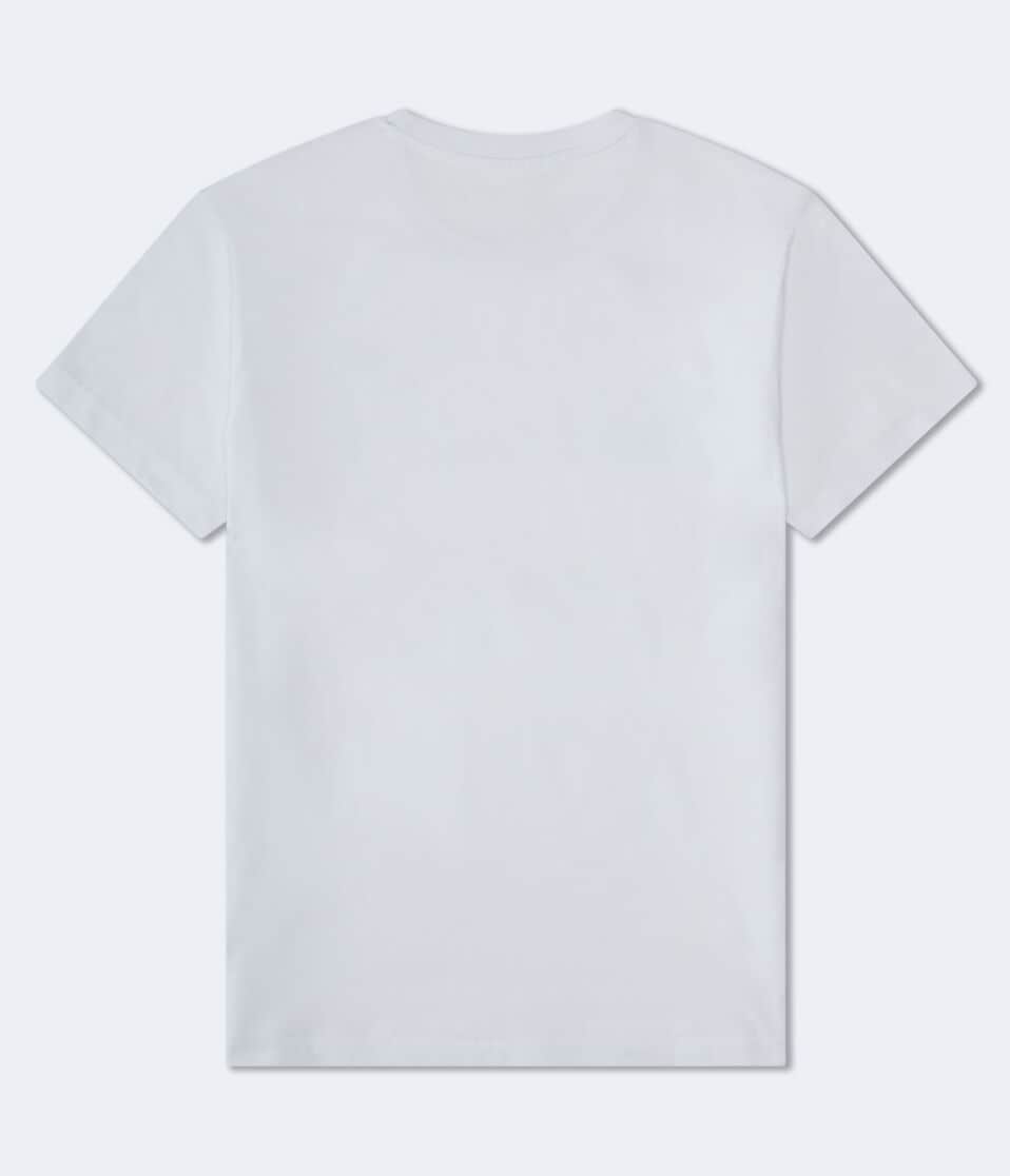 Aeropostale Authentic Logo Flocked Graphic Tee