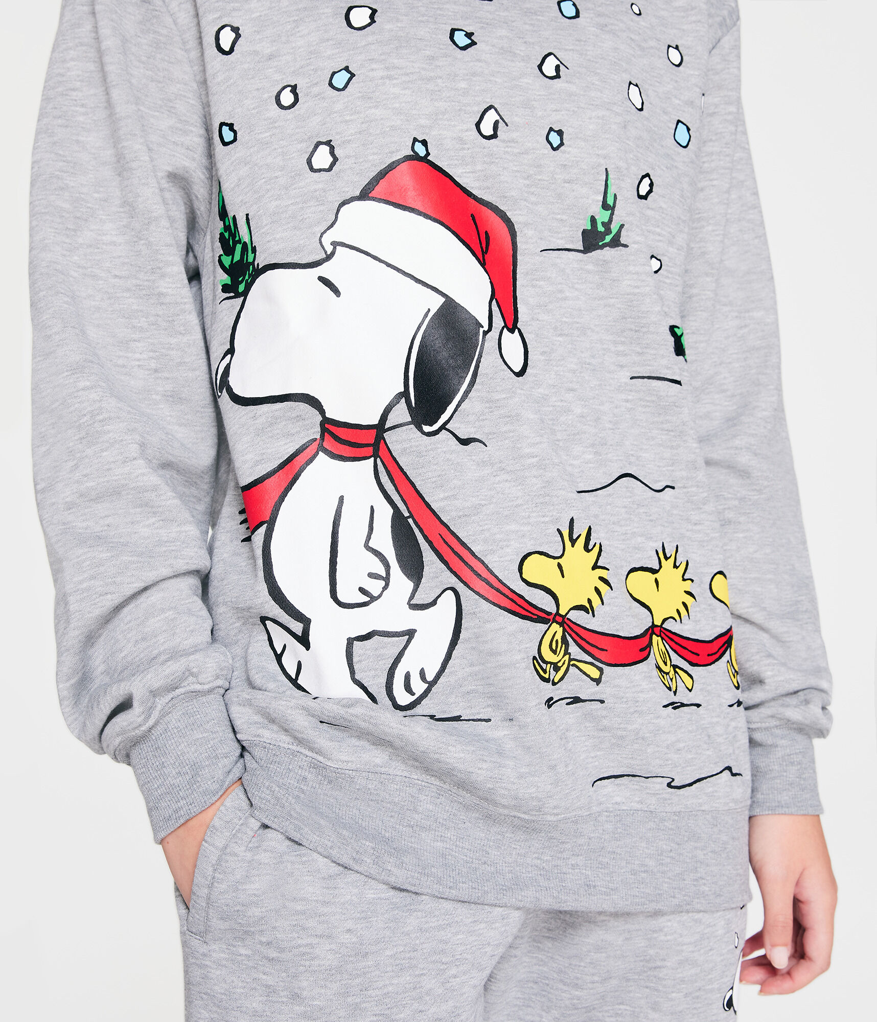 Snoopy Scarf Sharing Crew Sweatshirt