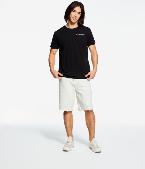 Aero Logo Pride Graphic Tee