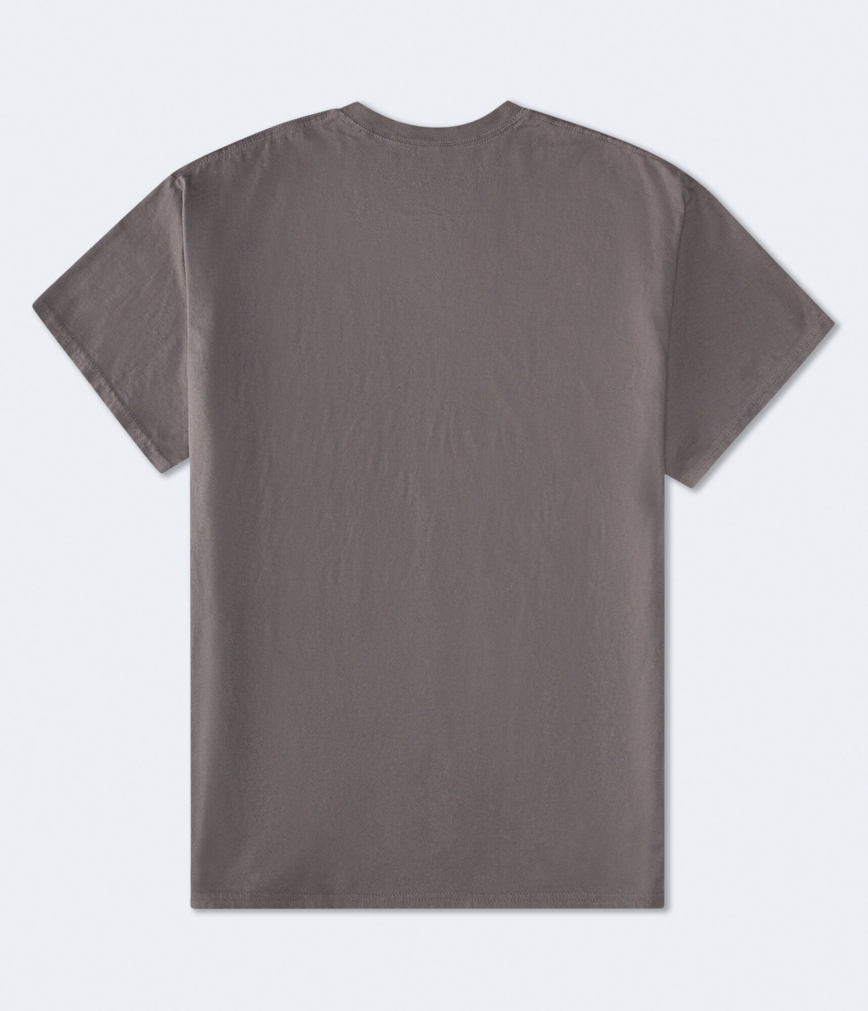 Olivia Rodrigo Live Relaxed Graphic Tee