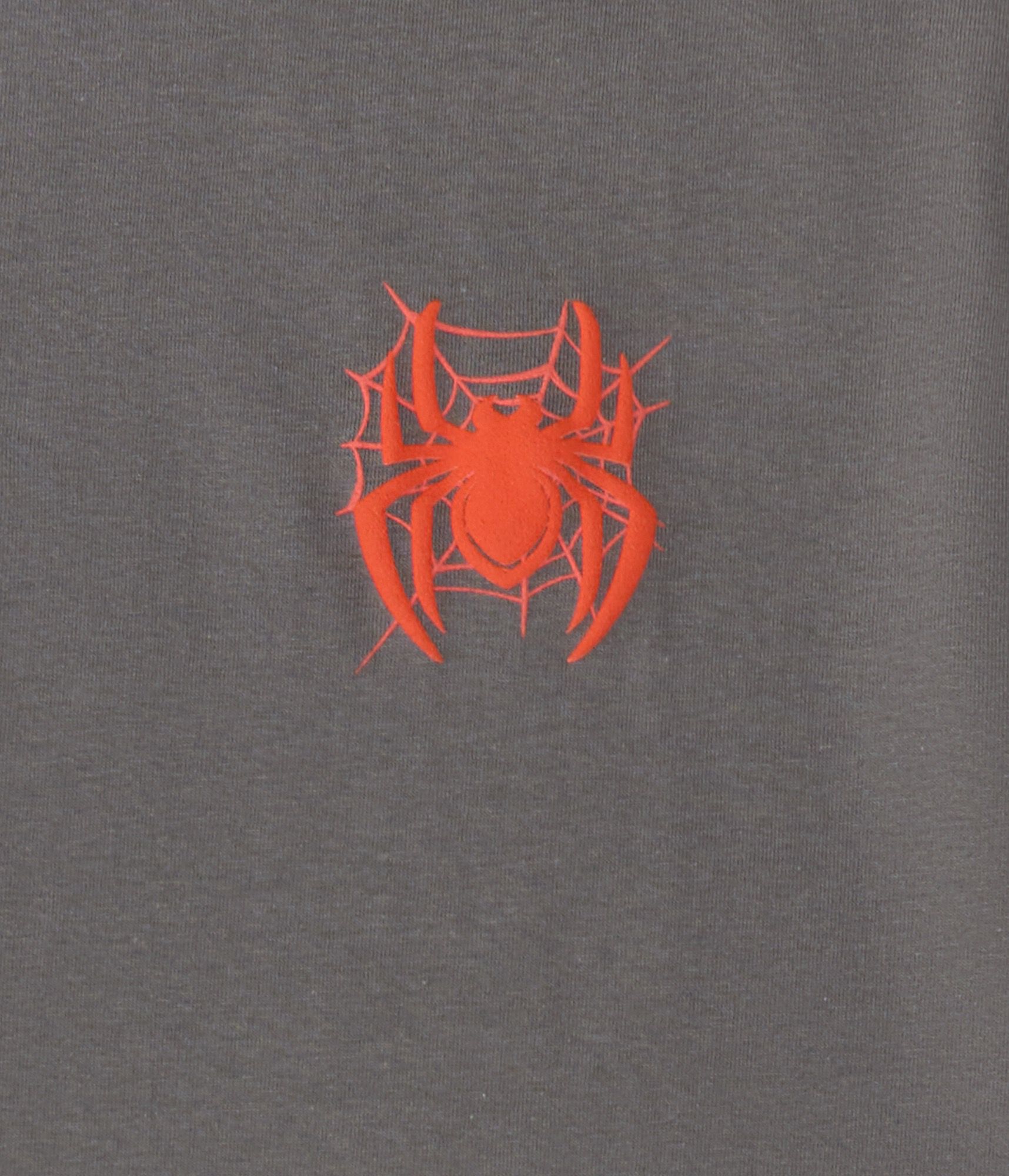 Spider-Man Web Relaxed Graphic Tee