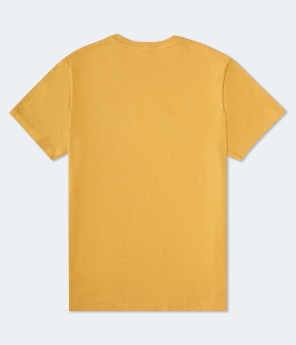 Aeropostale Original Script Appliqué Graphic Tee