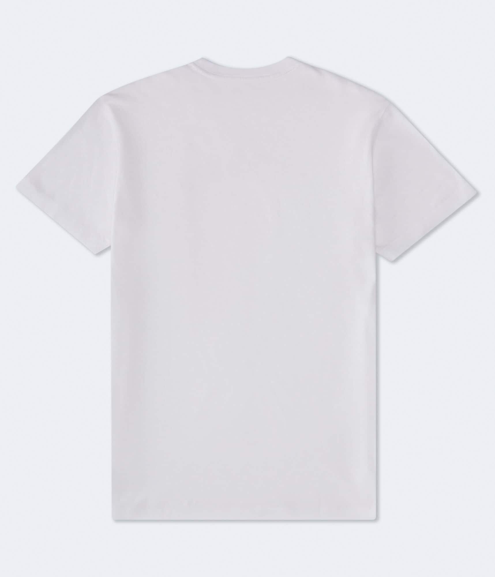 Aeropostale 1987 Arch Appliqué Graphic Tee