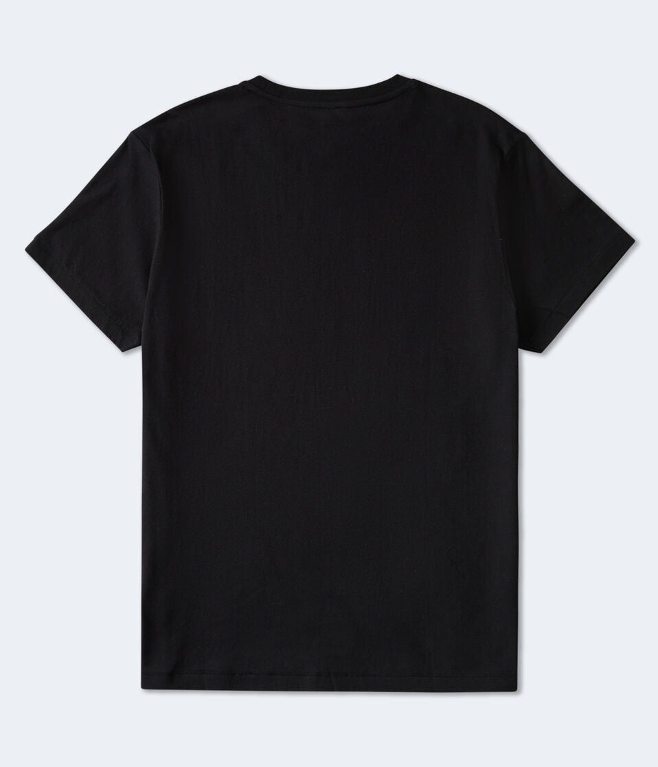 Aero 1987 Trademark Appliqué Graphic Tee