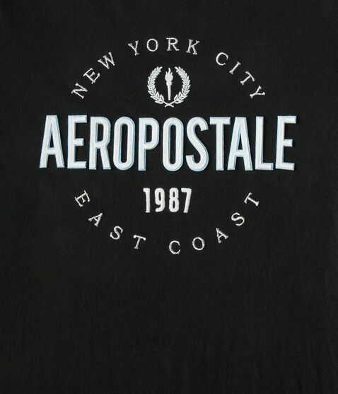Aeropostale East Coast Appliqué Graphic Tee Aeropostale East Coast Appliqué Graphic Tee