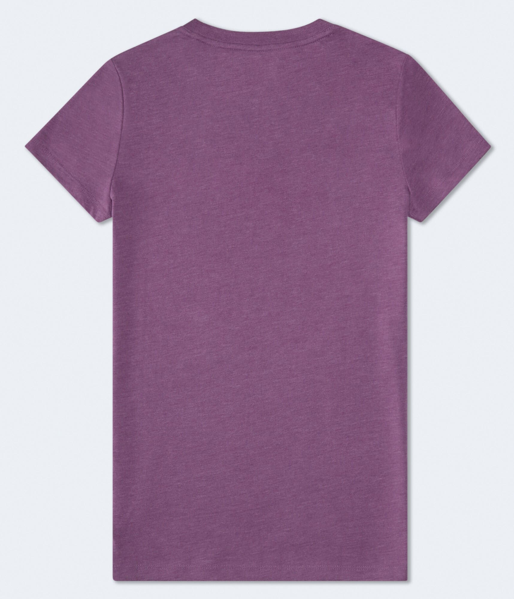 Aeropostale Rose Graphic Tee