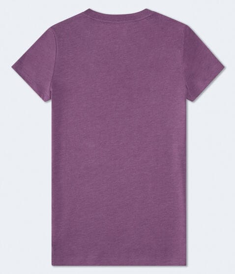 Aeropostale Rose Graphic Tee Aeropostale Rose Graphic Tee