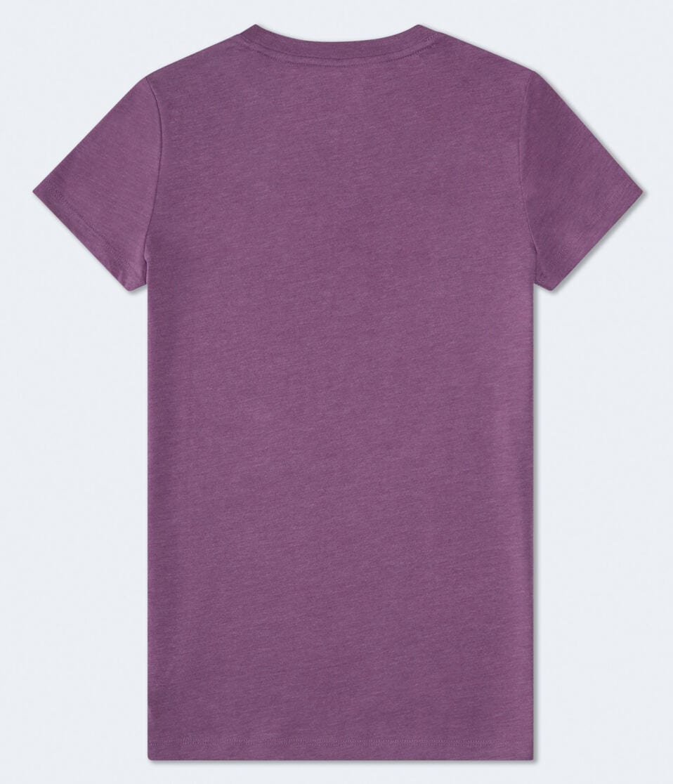 Aeropostale Rose Graphic Tee
