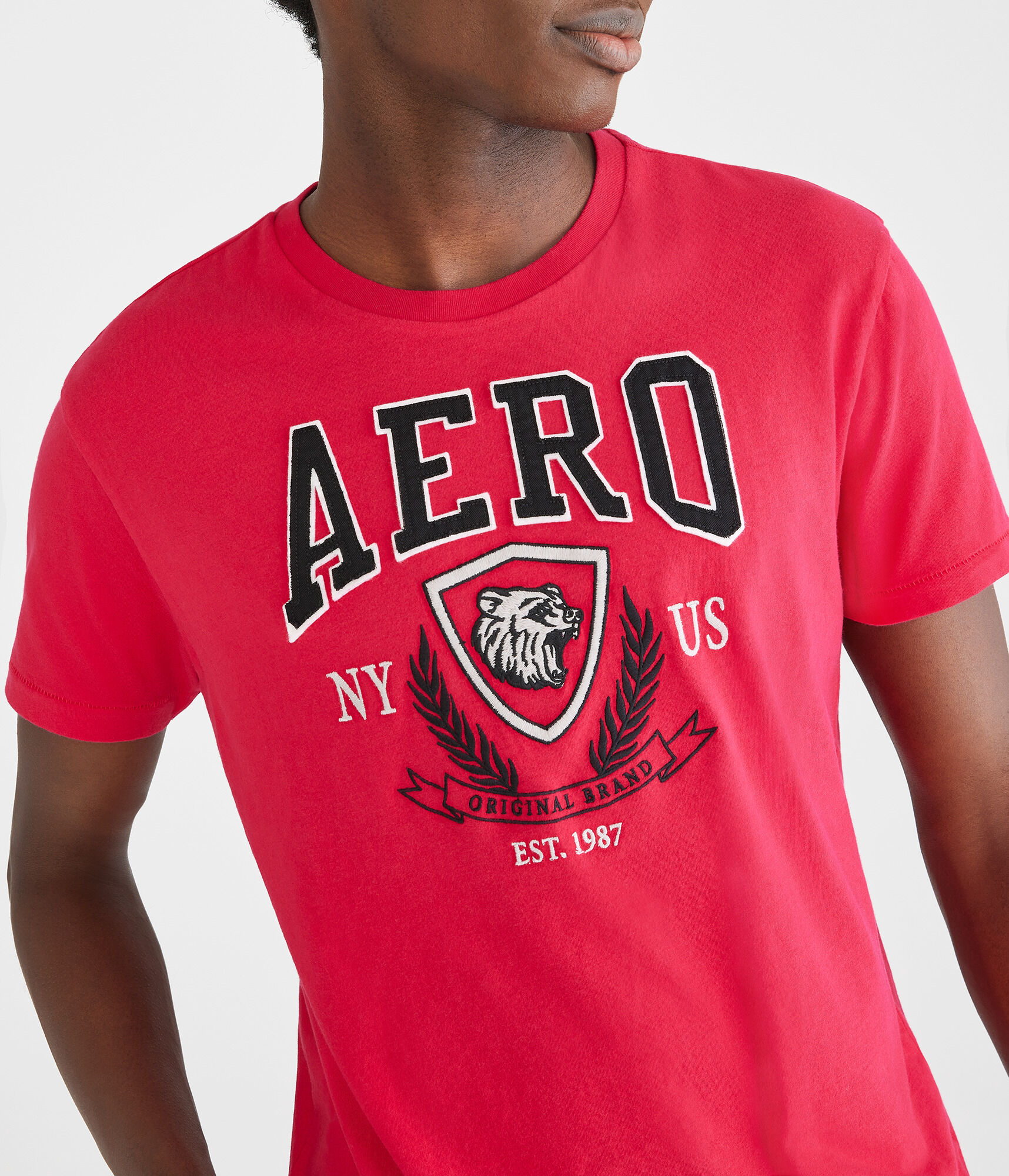 Aero Bear Crest Appliqu&eacute; Graphic Tee