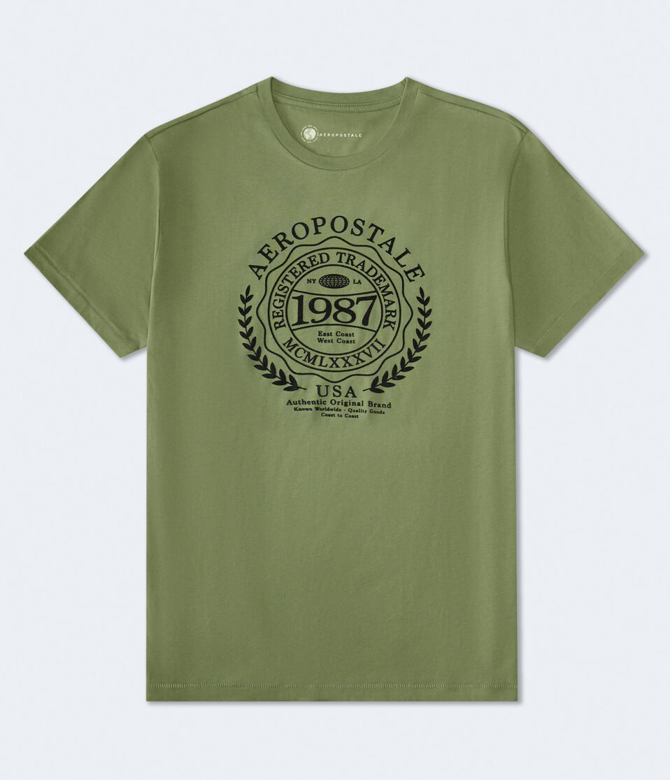 Aeropostale Laurel Circle Flocked Graphic Tee