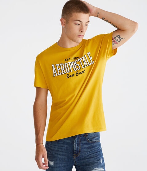 Aeropostale East Coast Appliqué Graphic Tee