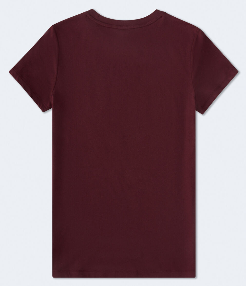 Aero Butterfly Circle Foil Graphic Tee