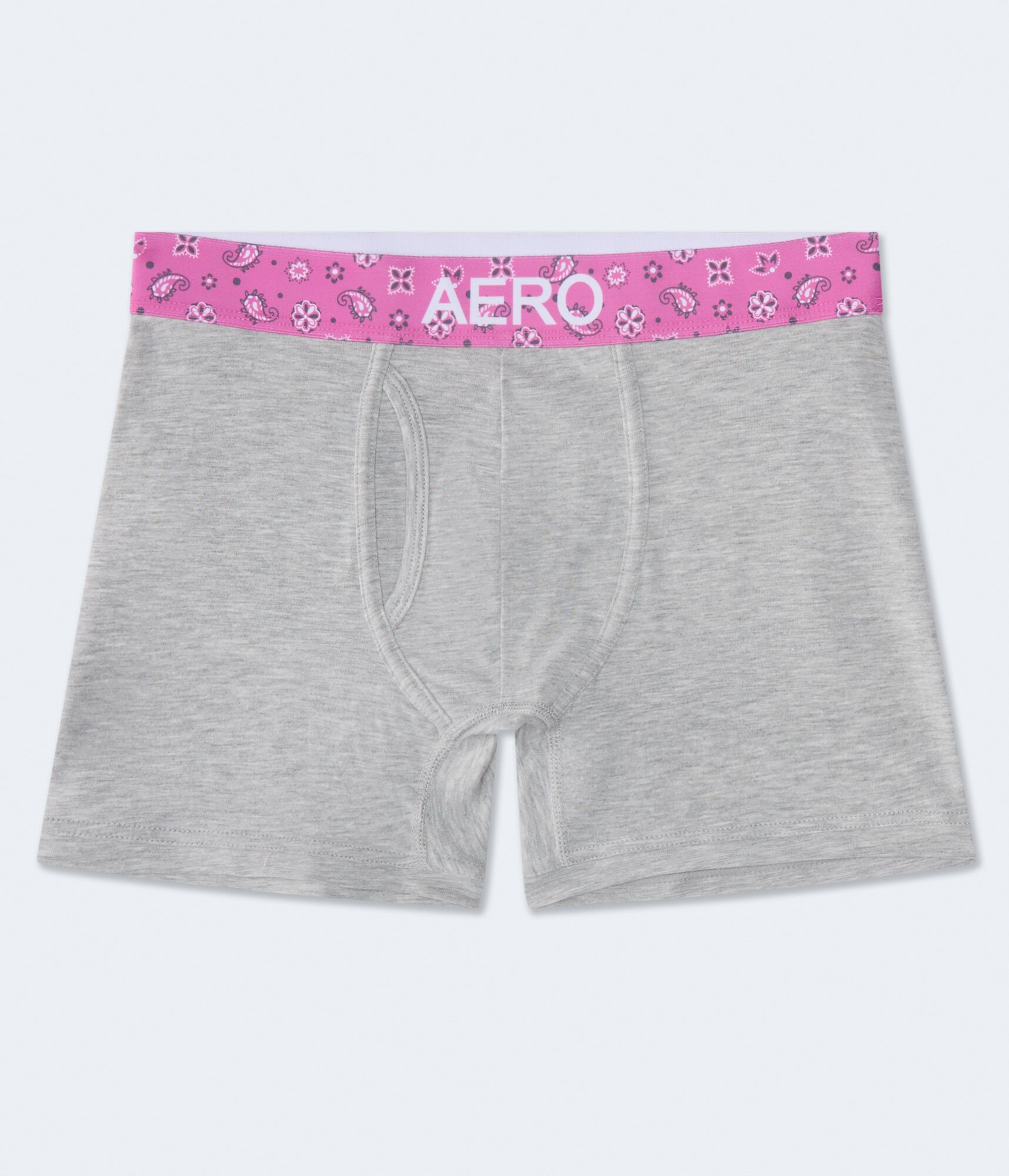 Bandana Waistband 4.5" Boxer Brief