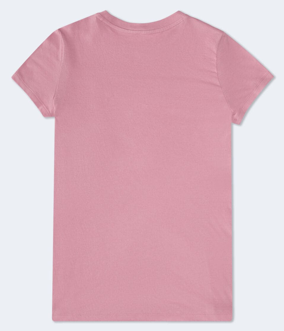 Aeropostale 1987 Appliqué Graphic Tee