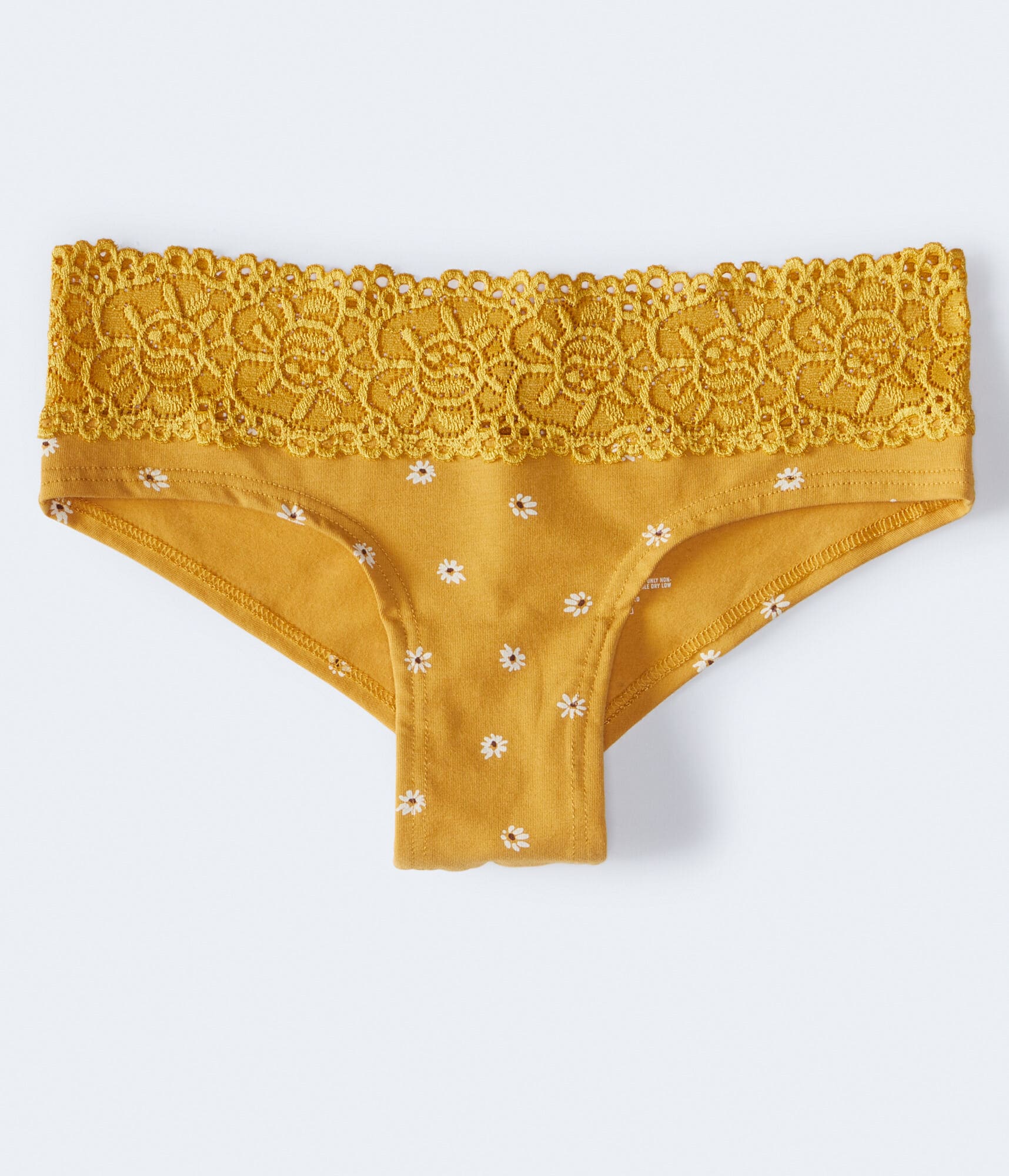 Daisy Lace-Trim Cheeky