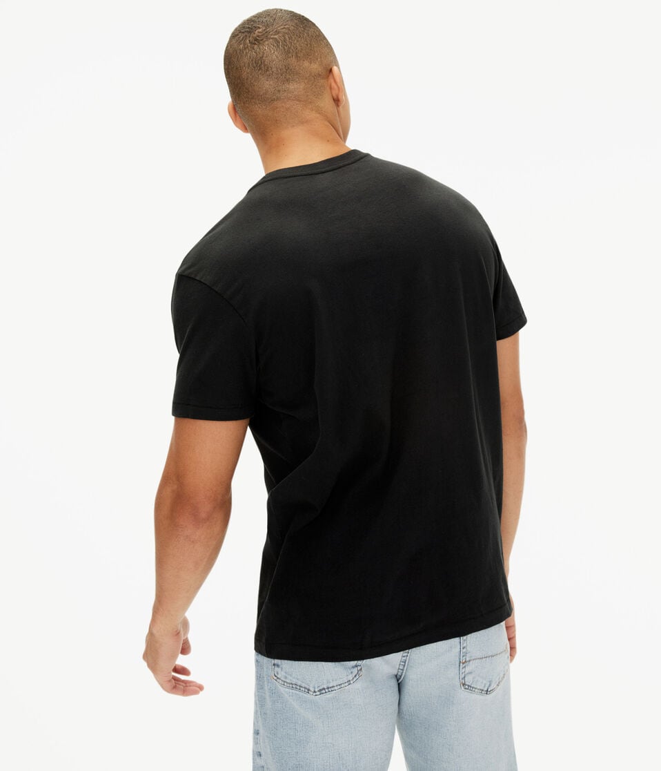 Aeropostale Butterfly Pride Graphic Tee