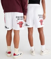 Chicago Bulls Mesh Shorts 6"