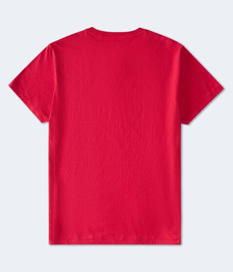 Aeropostale NYC Circle Appliqué Graphic Tee
