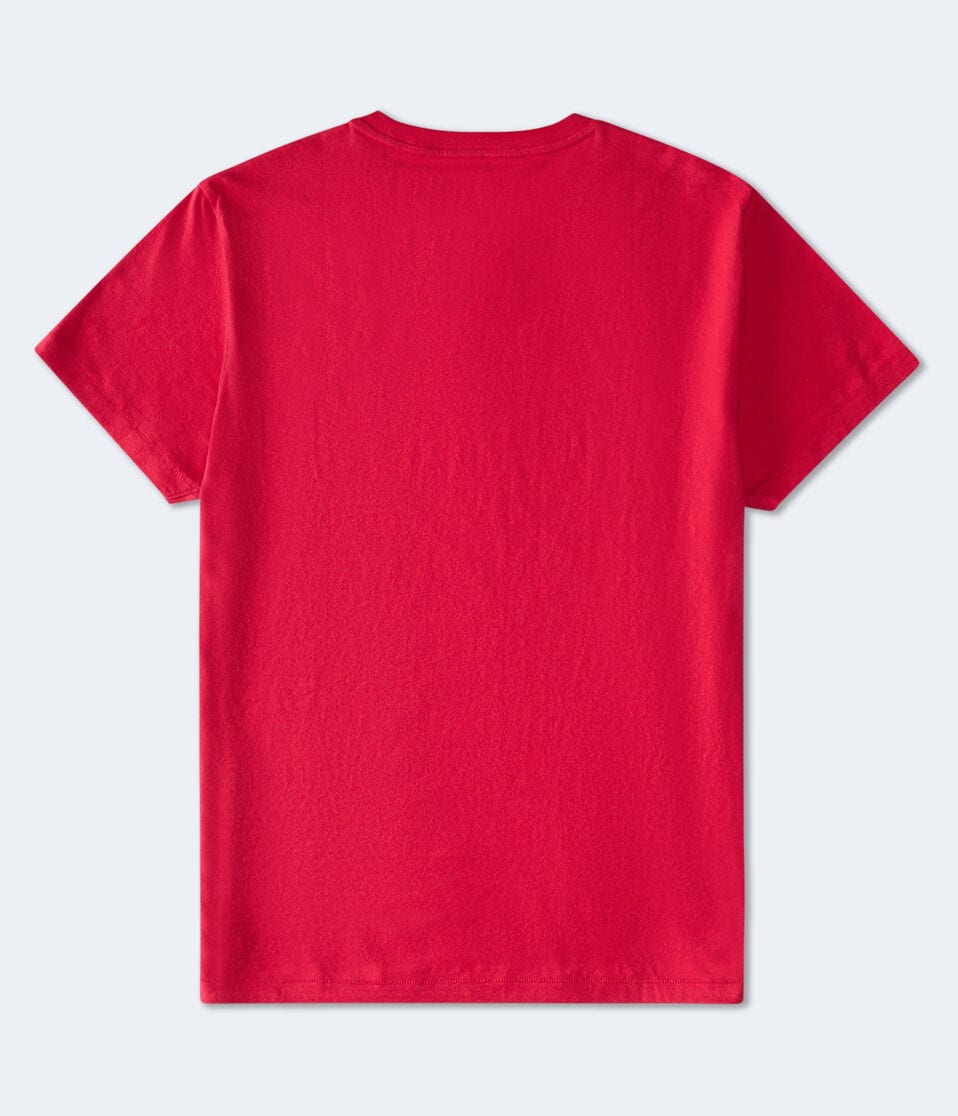 Aeropostale NYC Circle Appliqué Graphic Tee