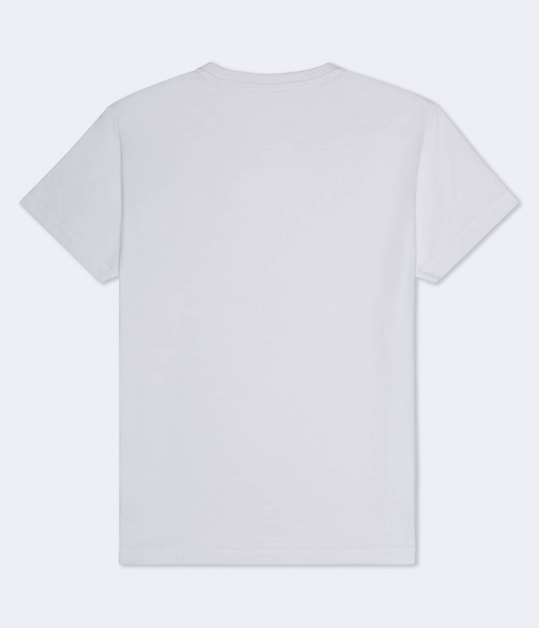 Aeropostale Laurel Circle Flocked Graphic Tee