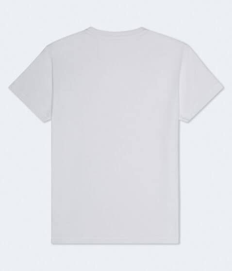 Aeropostale Laurel Circle Flocked Graphic Tee Aeropostale Laurel Circle Flocked Graphic Tee