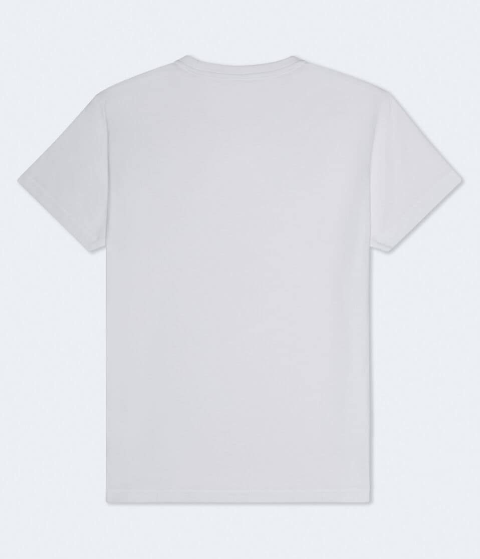 Aeropostale Laurel Circle Flocked Graphic Tee