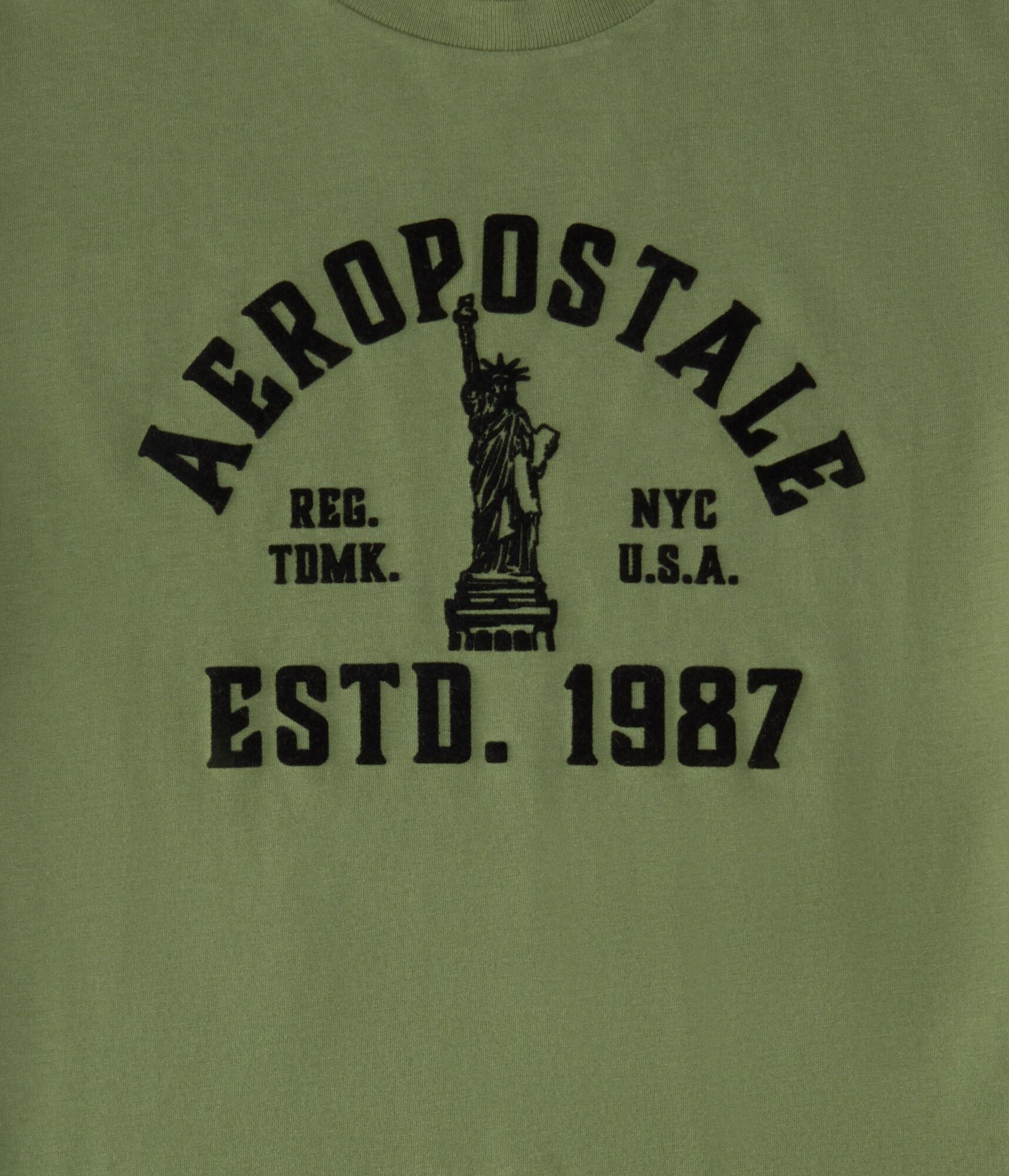 Aeropostale Liberty Flocked Graphic Tee