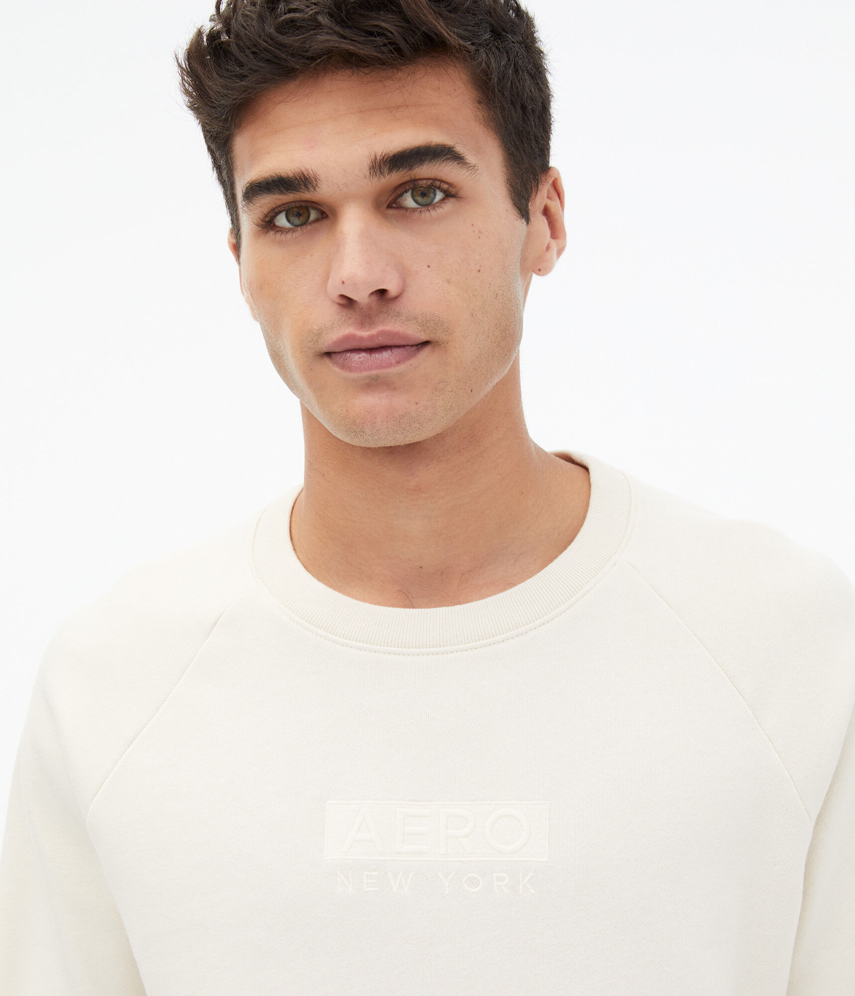 Aero Tonal Box Logo Washed Crew Sweatshirt